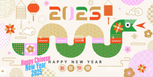 Chinese New Year 2025 Activities