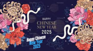 Chinese New Year 2025 Activities