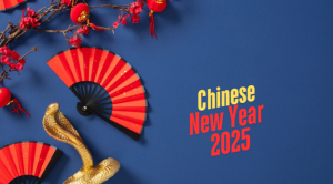 Chinese New Year 2025 Activities