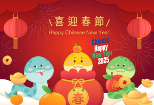 Happy Chinese New Year Hanzi 2025