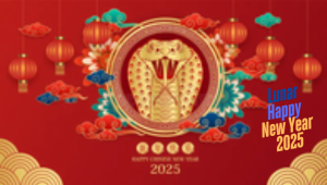 Cabramatta Lunar New Year 2025