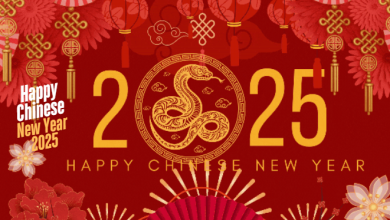 Happy Chinese New Year 2025 Gif