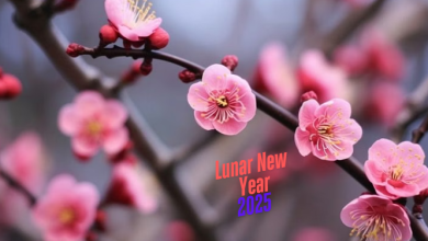 Lunar New Year 2025 Buffet