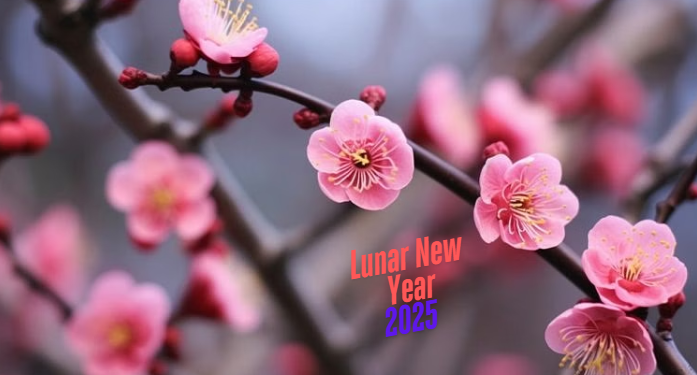 Lunar New Year 2025 Buffet