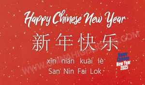 what are popular phrases used during chinese new year