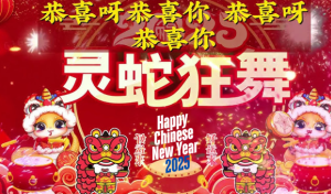 what are popular phrases used during chinese new year