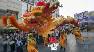 Lunar New Year Houston 2025